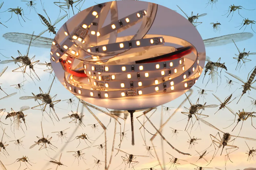 Are Mosquitoes Attracted to Light Sources? Unitop
