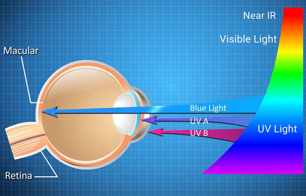 Blue Light Hazards