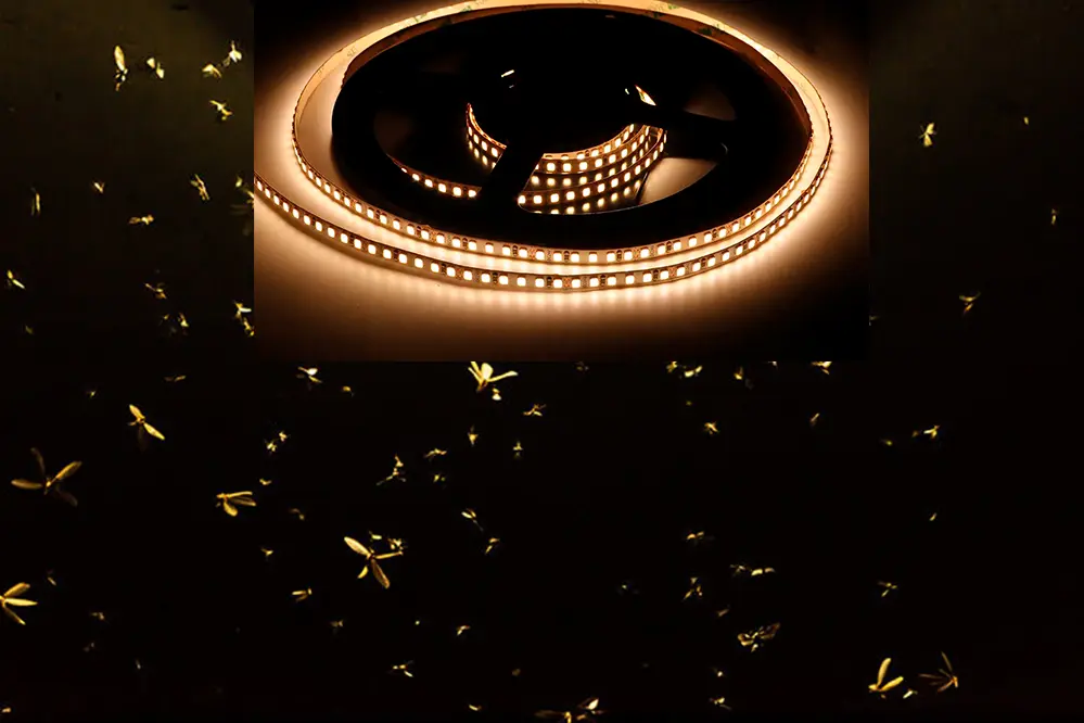 Do LED strip lights attract bugs
