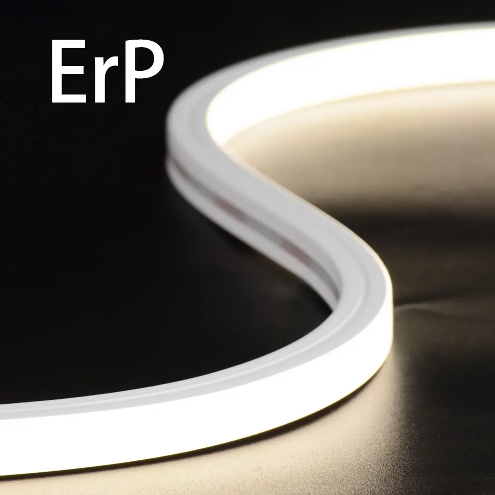 ERP LED Neon Strip