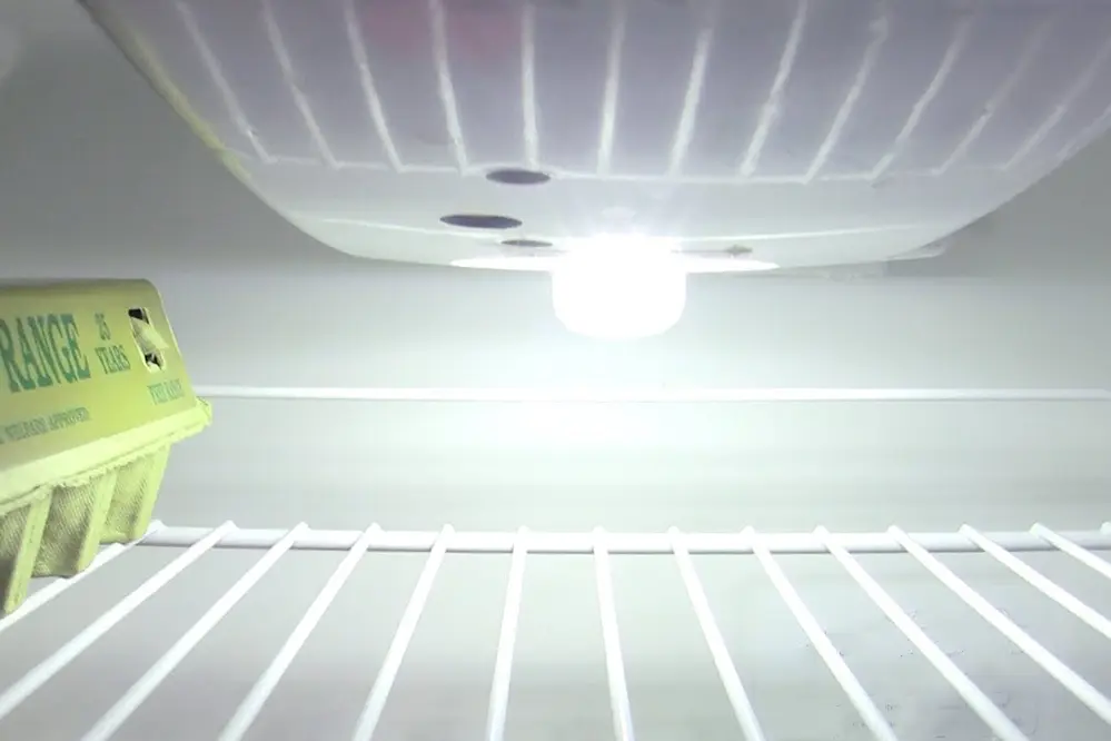 LED Bulbs in the Fridge