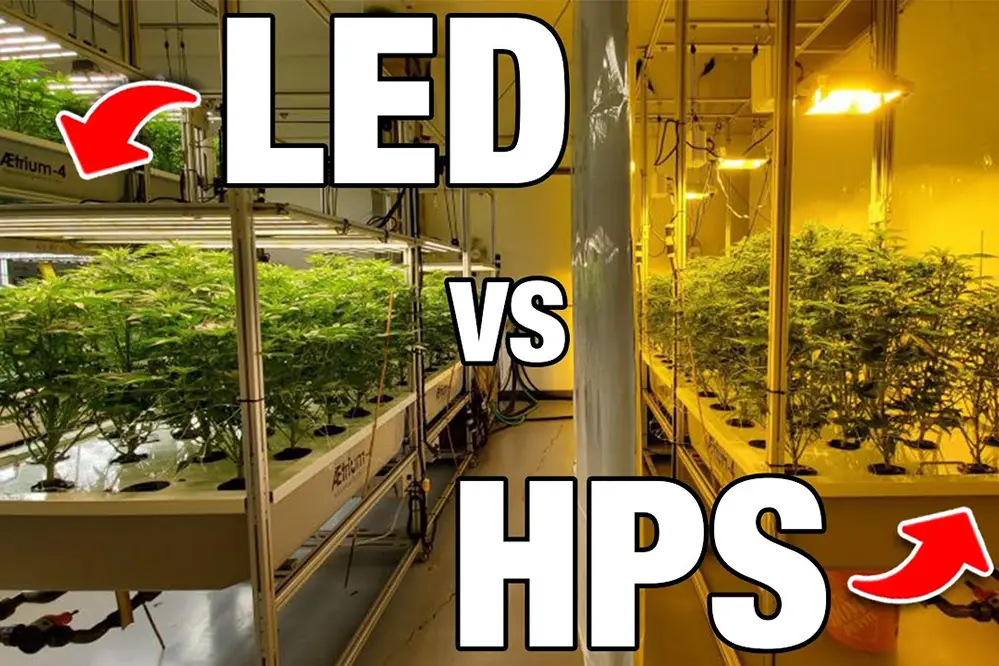 LED Grow Lights vs HPS: A Comparative Guide